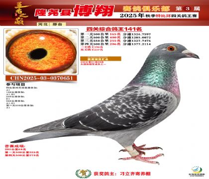 博翔特比四關(guān)鴿王141名