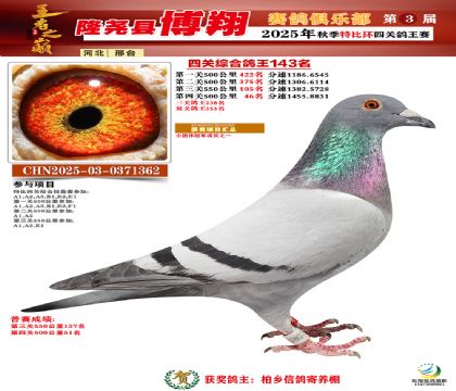 博翔特比四關(guān)鴿王143名