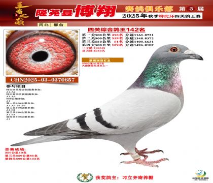 博翔特比四關(guān)鴿王142名