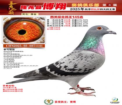 博翔特比四關(guān)鴿王145名