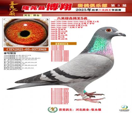 博翔六關(guān)鴿王5名