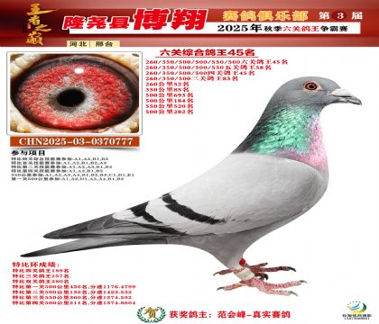 博翔六關(guān)鴿王45名