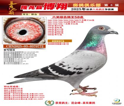 博翔六關(guān)鴿王58名