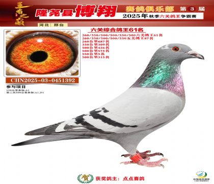 博翔六關(guān)鴿王61名