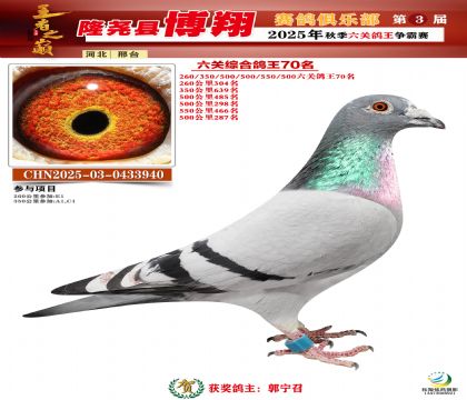 博翔六關(guān)鴿王70名