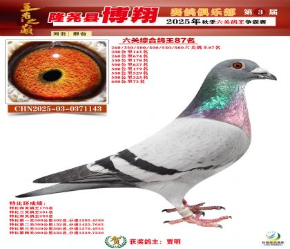 博翔六關(guān)鴿王87名
