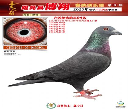 博翔六關(guān)鴿王94名