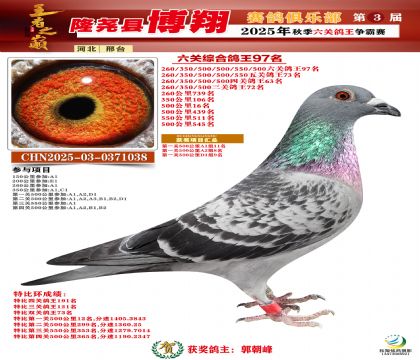 博翔六關(guān)鴿王97名