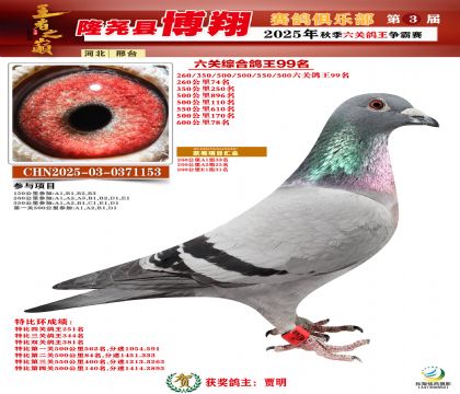 博翔六關(guān)鴿王99名