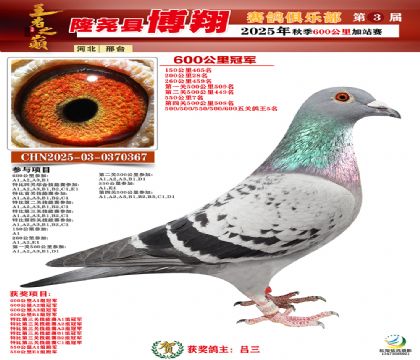 博翔600公里冠軍