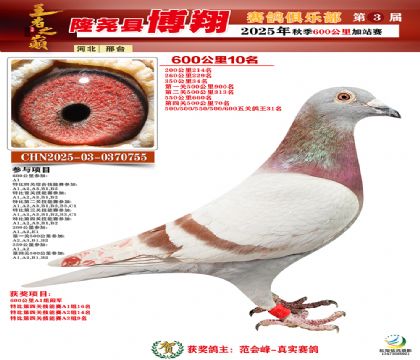 博翔600公里10名