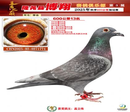 博翔600公里13名