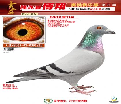 博翔600公里11名