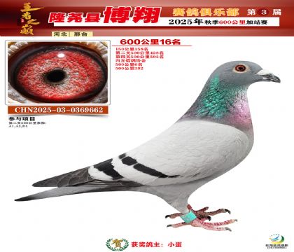 博翔600公里16名