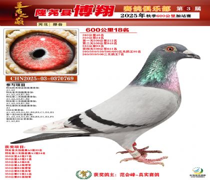 博翔600公里18名