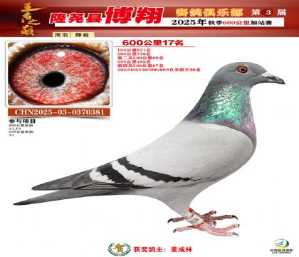 博翔600公里17名