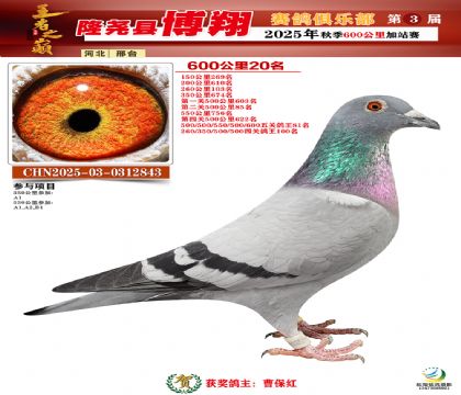 博翔600公里20名