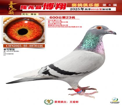 博翔600公里23名