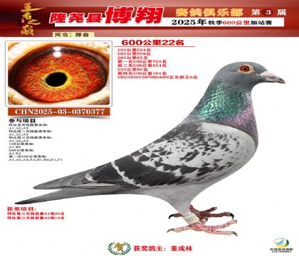 博翔600公里22名