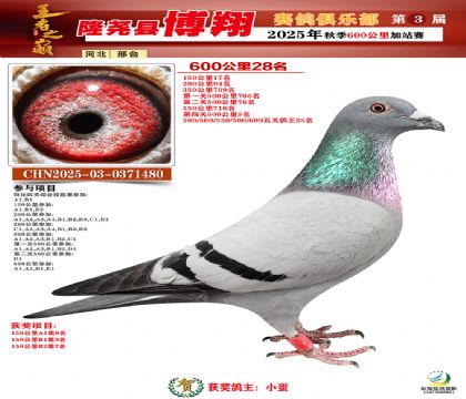 博翔600公里28名