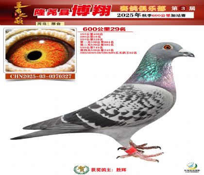 博翔600公里29名