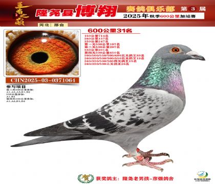 博翔600公里31名