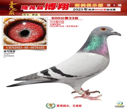 博翔600公里33名