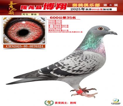 博翔600公里35名