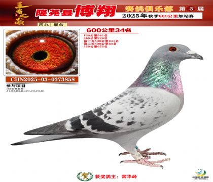 博翔600公里34名