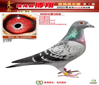 博翔600公里38名