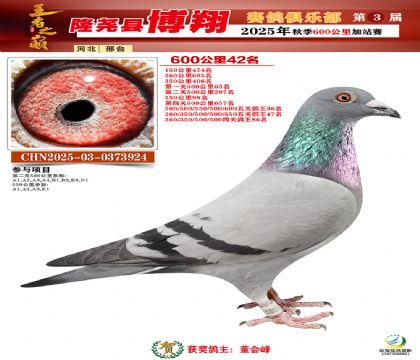 博翔600公里42名