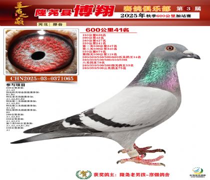 博翔600公里41名