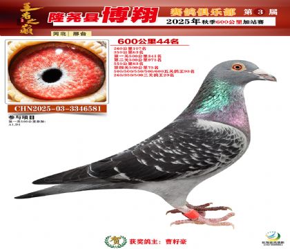 博翔600公里44名