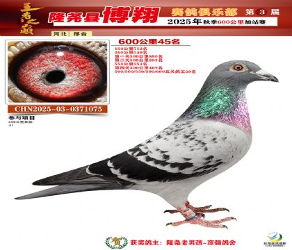 博翔600公里45名