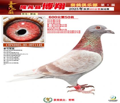 博翔600公里50名