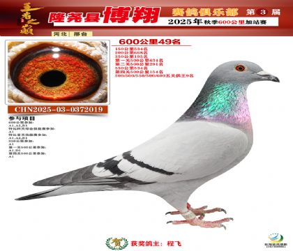 博翔600公里49名