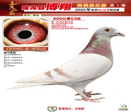 博翔600公里53名