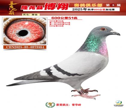 博翔600公里51名