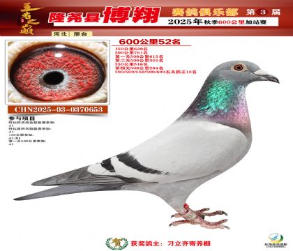 博翔600公里52名