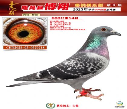 博翔600公里54名