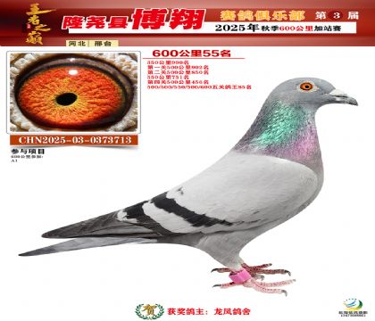 博翔600公里55名