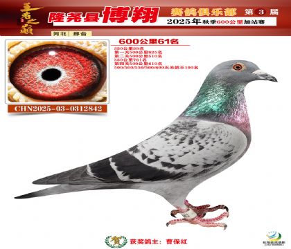 博翔600公里61名