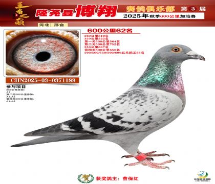 博翔600公里62名