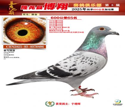 博翔600公里65名