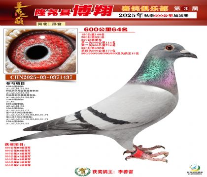 博翔600公里64名