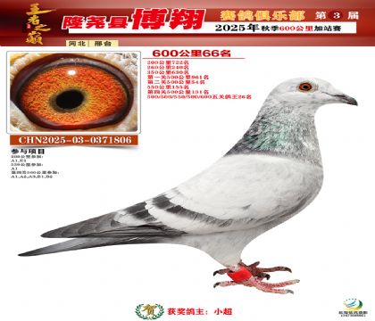 博翔600公里66名