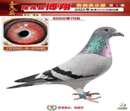 博翔600公里70名