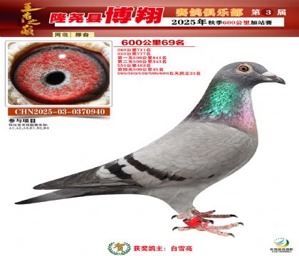 博翔600公里69名