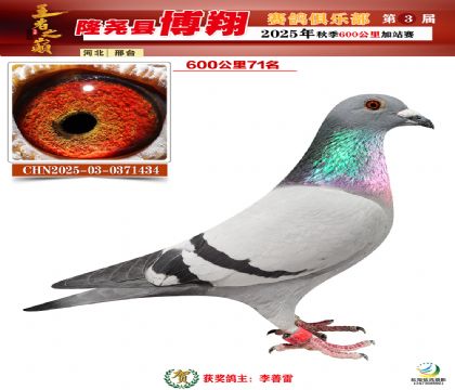 博翔600公里71名