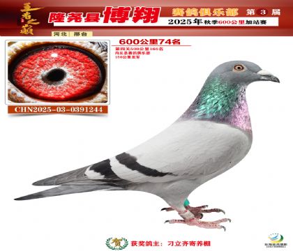 博翔600公里74名